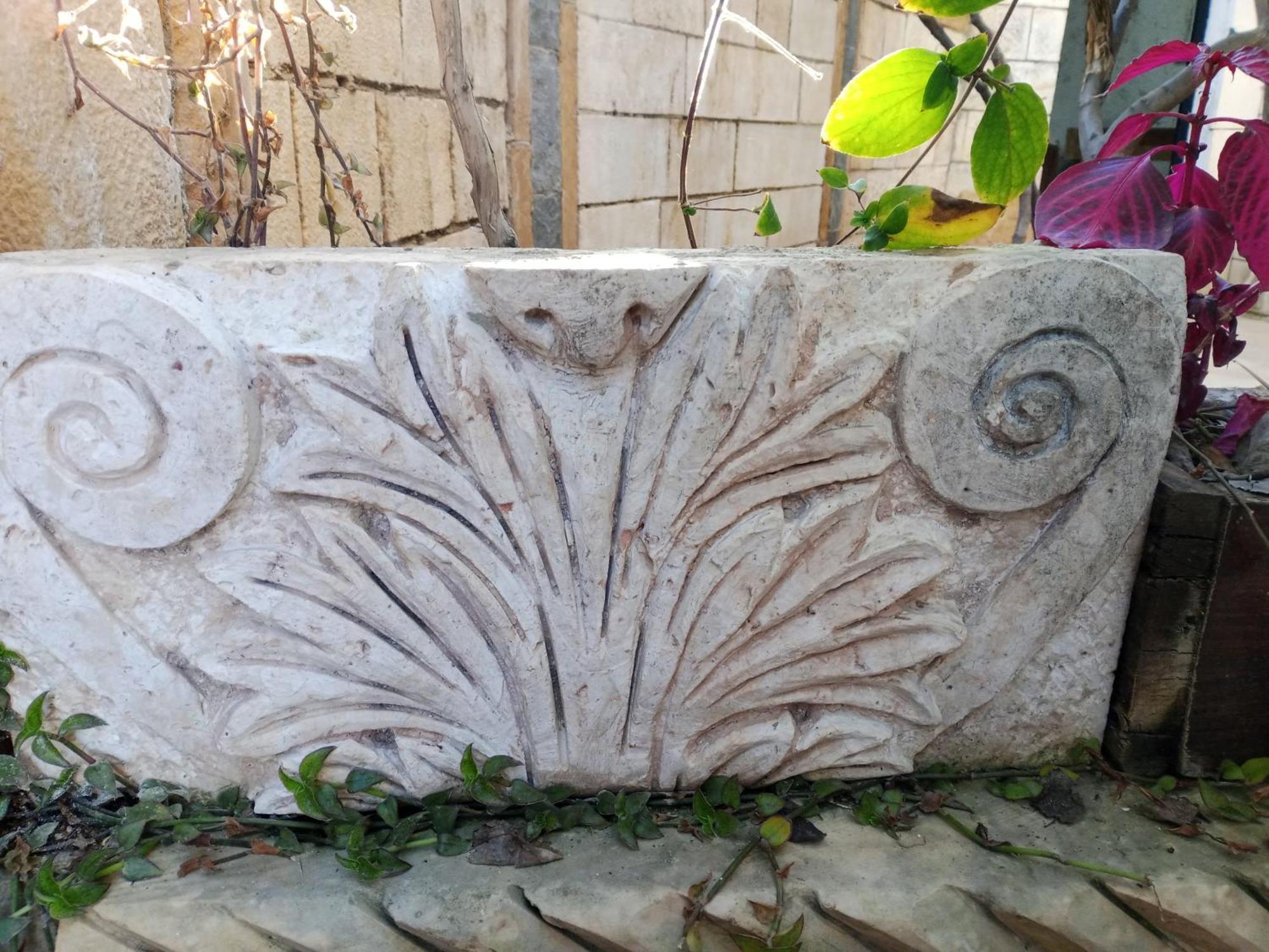 Flower 2 Jarash Exterior photo