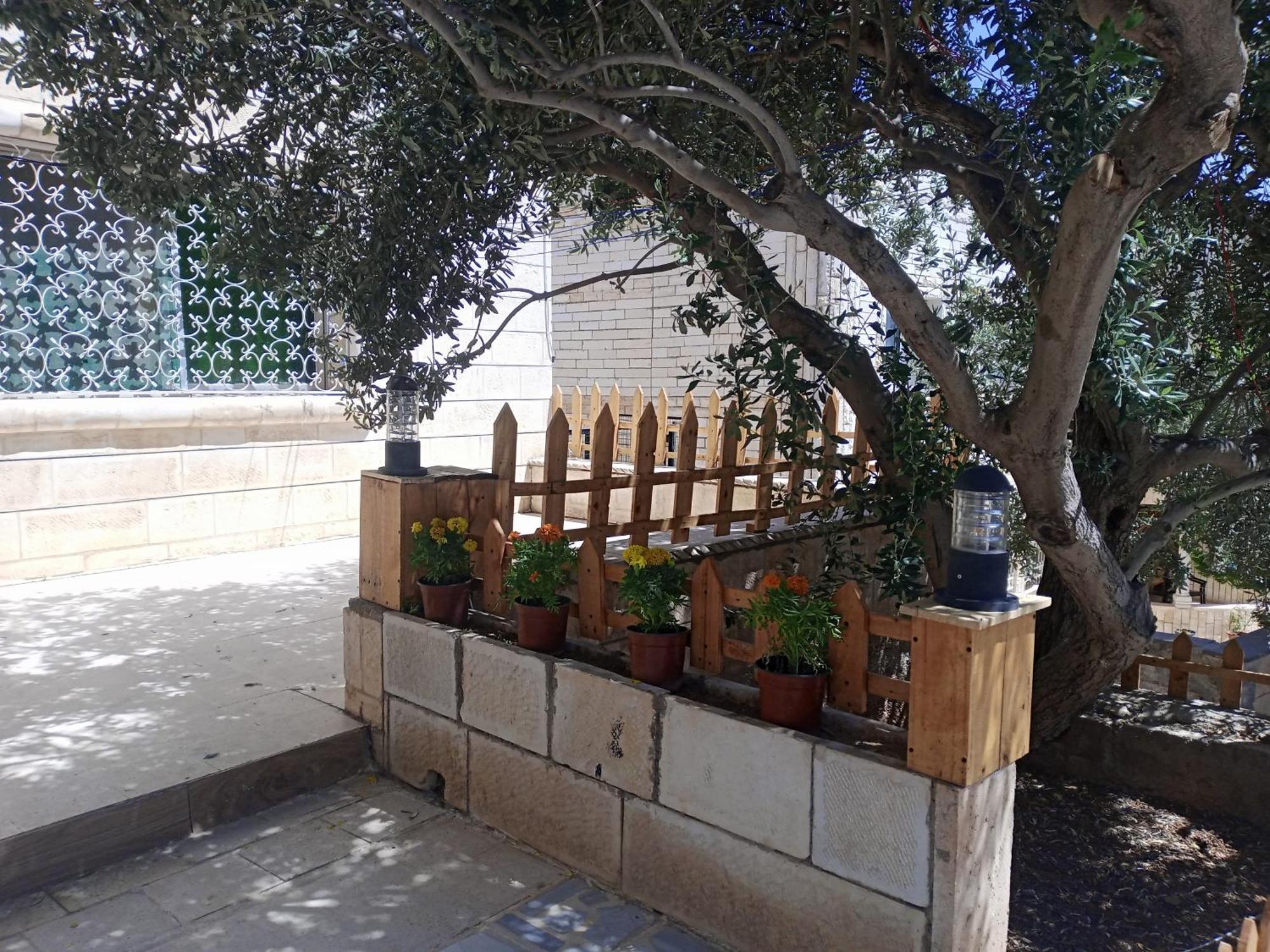 Flower 2 Jarash Exterior photo